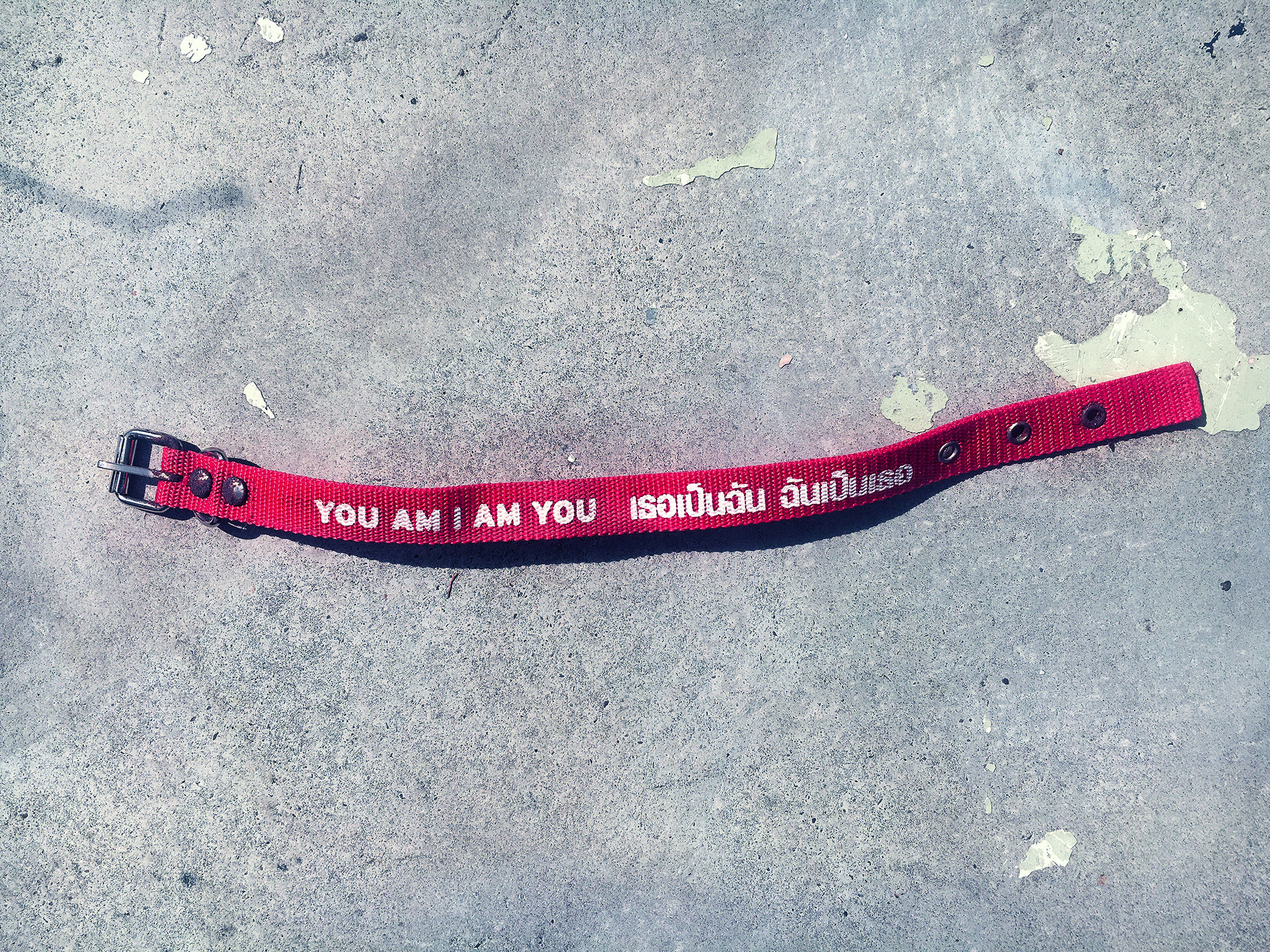 dogcollar